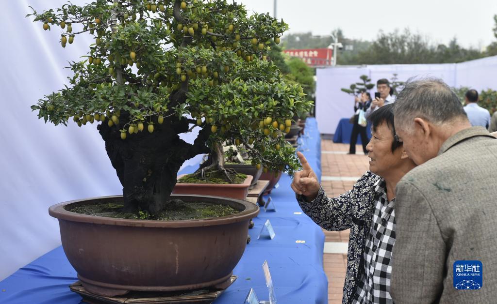 百老滙手机如何用如何下载应用